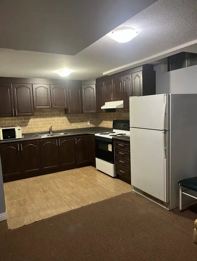 BASEMENT APARTMENT FOR RENT | MARKHAM & 14TH - Photo 3