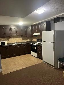 BASEMENT APARTMENT FOR RENT | MARKHAM & 14TH - Photo 3