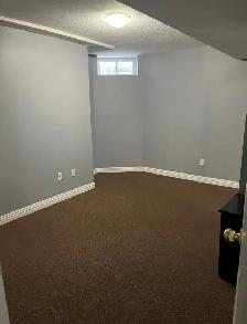 BASEMENT APARTMENT FOR RENT | MARKHAM & 14TH - Photo 5
