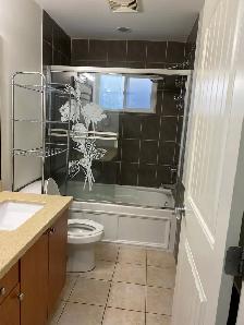 2 bedroom basement suite for rent in Burnaby by Burnaby Hospital - Photo 10