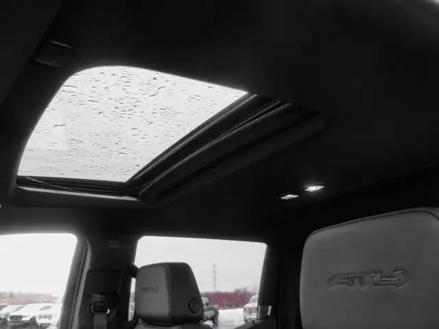 2026 GMC Sierra 1500 AT4 - Photo 30
