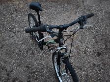 Boys Mountain BIke For Sale - Photo 10