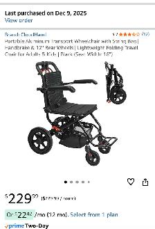 wheelchair transport/travel friendly $100 OBO