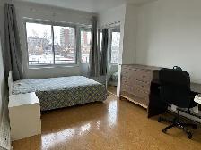 Downtown Near McGill All Included Furnitured Studio for Rent !!