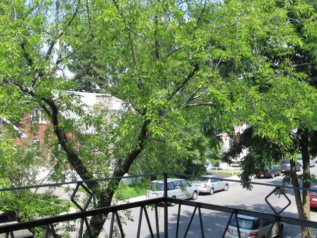 Grand 4 ½.  Ahuntsic centre - Photo 8