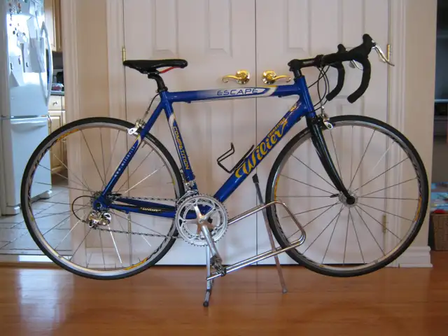 Wilier velo Italien  Campagnolo