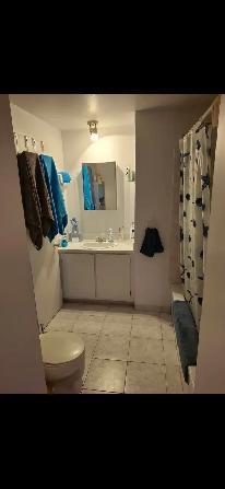 GRAND 4 1/2 A LOUER DUVERNAY EST LAVAL TÉL 515-337-9257 - Photo 2