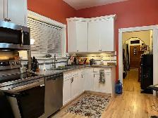 Collingwood Downtown - Photo 3