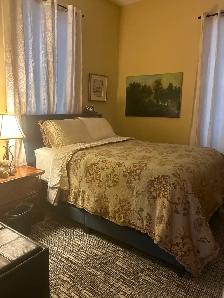 Collingwood Downtown - Photo 7