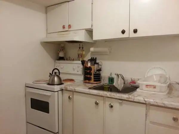 Large Room with own kitchen in Basement of large house at Yonge - Photo 4