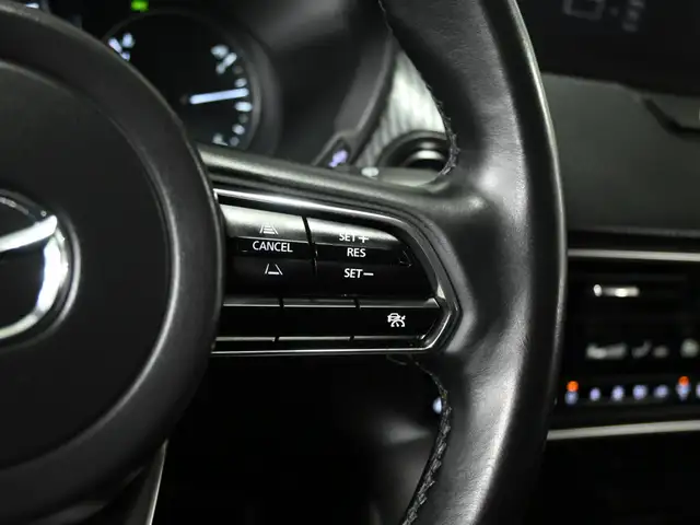 2024 Mazda CX-90 MHEV GS-L No Accident Leather Radar Cruise Push - Photo 15