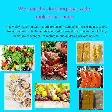 Commercial Single Chamber Vacuum Packaging Machine 220V 160808 - Photo 8