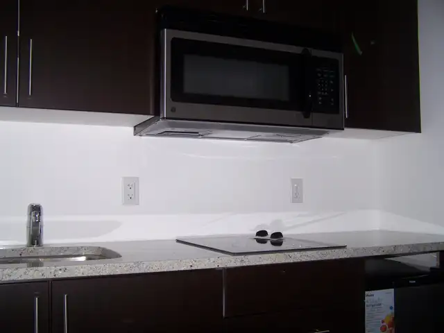 Luxury Studio Condo with Balcony (Located in Downtown) - Photo 4