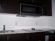 Luxury Studio Condo with Balcony (Located in Downtown) - Photo 4