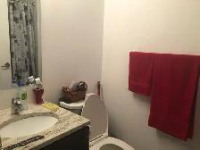 Luxury Studio Condo with Balcony (Located in Downtown) - Photo 7