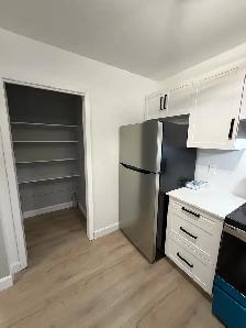 Updated Home in Family Friendly Neighbourhood for Rent - Photo 2