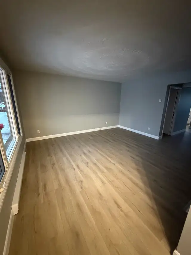 Updated Home in Family Friendly Neighbourhood for Rent - Photo 4