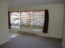 Ground Floor Studio - Photo 3