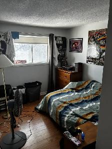 house for rent - Photo 7