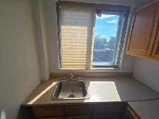 Beau 2 1/2 À LOUER – Libre- MÉTRO PARC - Photo 4