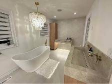 Custom Integrated Sink - 647-493-4330 - Photo 3