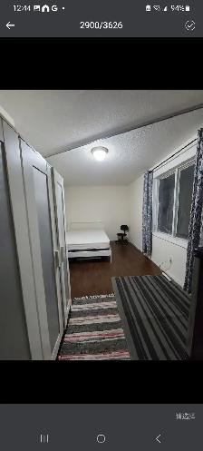 Rooms Minutes walk Finch west subway, York U campus