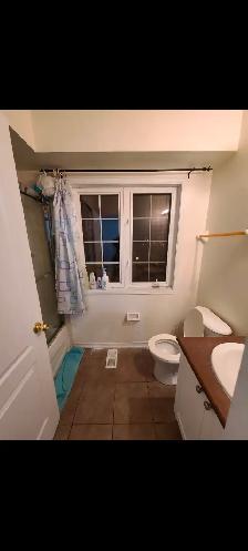 Rooms Minutes walk Finch west subway,  York U campus - Photo 3