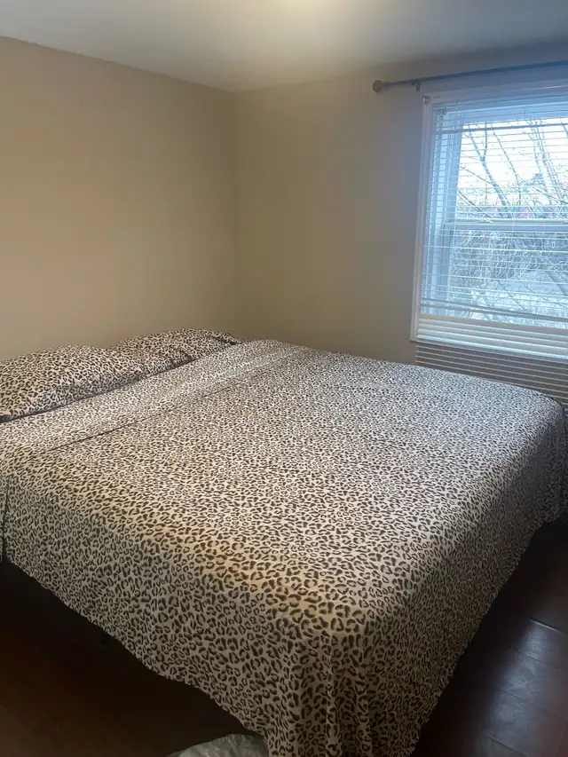 Beautiful Couch (2 of them) $350  EaCh & Delivery - Photo 8