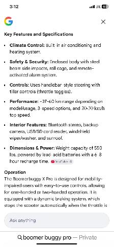 Boomer Buggy X Pro - Photo 6