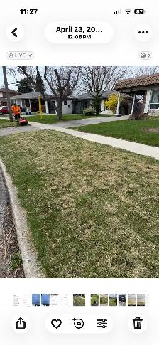 Lawn Dethatching - Photo 2