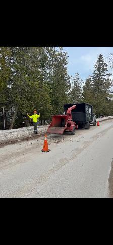 Tree Removal, Wood Chipping - Photo 2