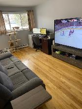 Longueuil, magnifique 41/2 spacieux disponible immédiatement