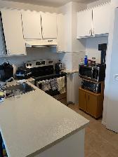 Longueuil, magnifique 41/2 spacieux disponible immédiatement - Photo 4