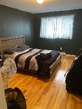 Longueuil, magnifique 41/2 spacieux disponible immédiatement - Photo 6