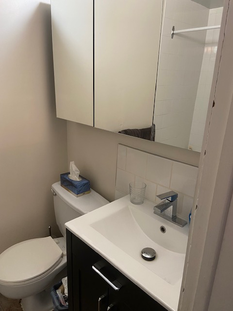 Longueuil, magnifique 41/2 spacieux disponible immédiatement - Photo 9