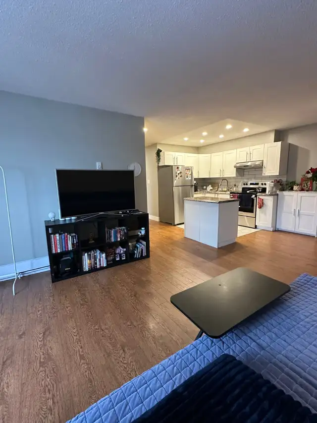 TWO BEDROOM APARTMENT ON MERIVALE ROAD OTTAWA WITH PARKING - Photo 5