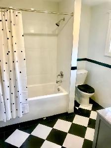 Bright, clean inclusive one bedroom apartment. - Photo 8