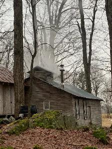 Sirop d’Érable - Photo 4