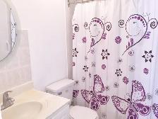 Donmills/Steeles 3 Bedroom Semi-Detached House for Rent - Photo 4