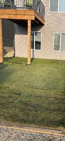 Best Cleaning Company In Calgary - Photo 5