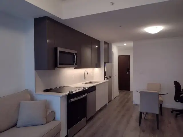 Fully Furnished 1 Bedroom Apartment in Downtown Kitchener - Photo 5