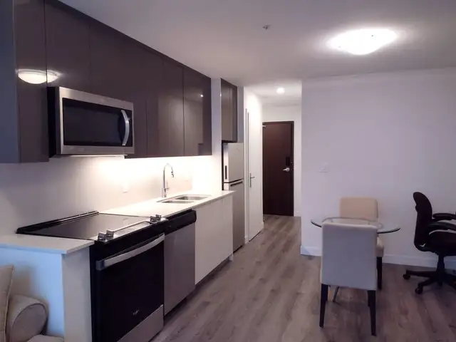 Fully Furnished 1 Bedroom Apartment in Downtown Kitchener - Photo 7
