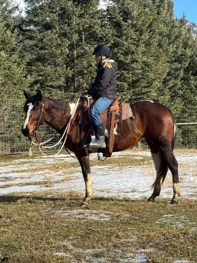 Quiet and Sweet 2023 Mare