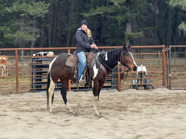 Quiet and Sweet 2023 Mare - Photo 4