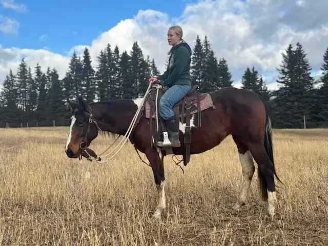 Quiet and Sweet 2023 Mare - Photo 6