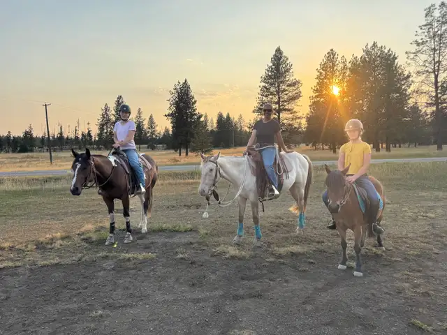 Quiet and Sweet 2023 Mare - Photo 7