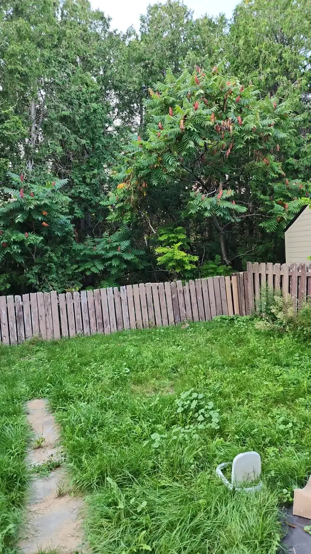 Basement for rent in Oshawa - Photo 9