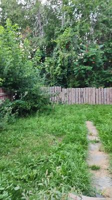 Basement for rent in Oshawa - Photo 10