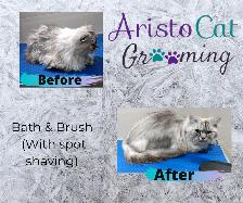 AristoCat Grooming - Orleans - Photo 2