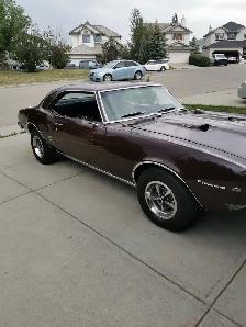 1968 Firebird - totally restored inside and out